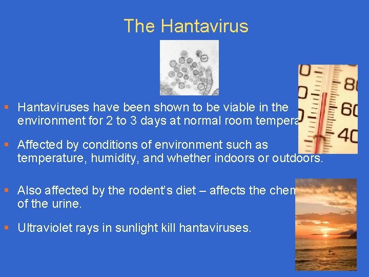 The Hantavirus § Hantaviruses have been shown to be viable in the environment for