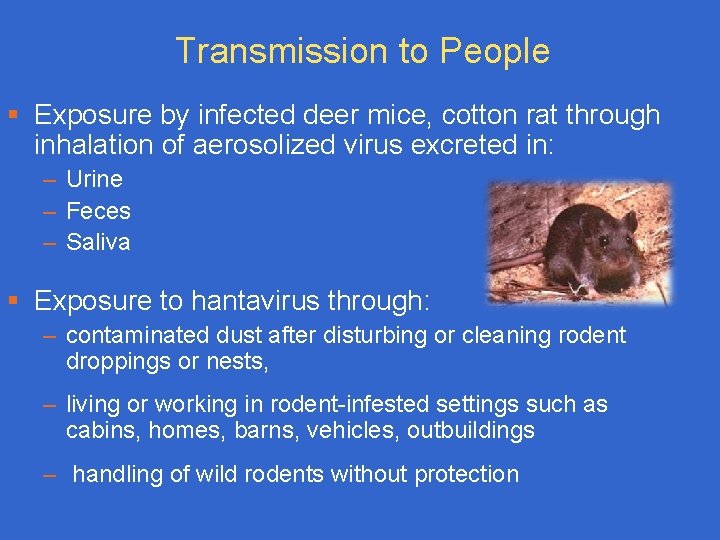 Transmission to People § Exposure by infected deer mice, cotton rat through inhalation of