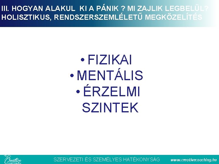 III. HOGYAN ALAKUL KI A PÁNIK ? MI ZAJLIK LEGBELÜL? HOLISZTIKUS, RENDSZERSZEMLÉLETŰ MEGKÖZELÍTÉS •