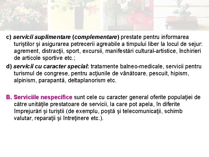c) servicii suplimentare (complementare) prestate pentru informarea turiştilor şi asigurarea petrecerii agreabile a timpului