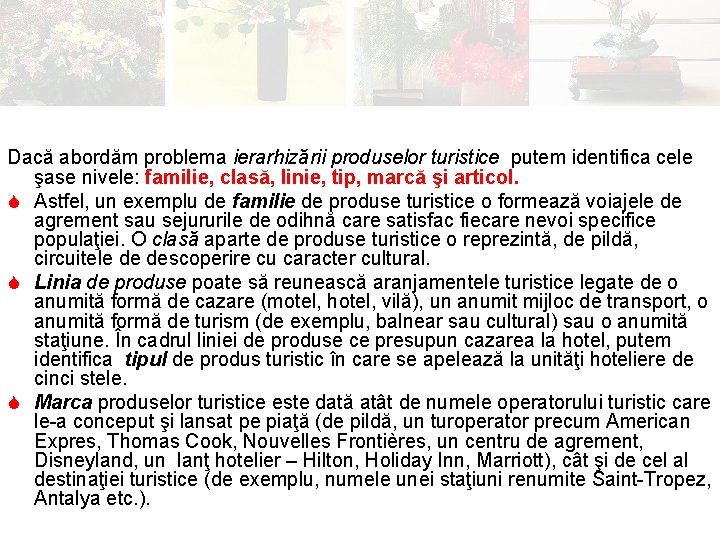Dacă abordăm problema ierarhizării produselor turistice putem identifica cele şase nivele: familie, clasă, linie,