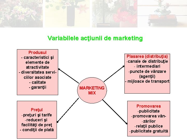 Variabilele acţiunii de marketing Produsul - caracteristici şi elemente de atractivitate - diversitatea serviciilor