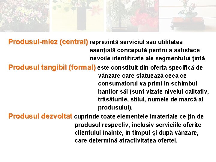 Produsul-miez (central) reprezintă serviciul sau utilitatea esenţială concepută pentru a satisface nevoile identificate ale
