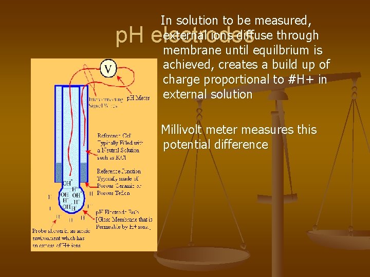 In solution to be measured, external ions diffuse through membrane until equilbrium is achieved,