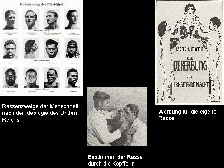 Rassenzweige der Menschheit nach der Ideologie des Dritten Reichs Werbung für die eigene Rasse