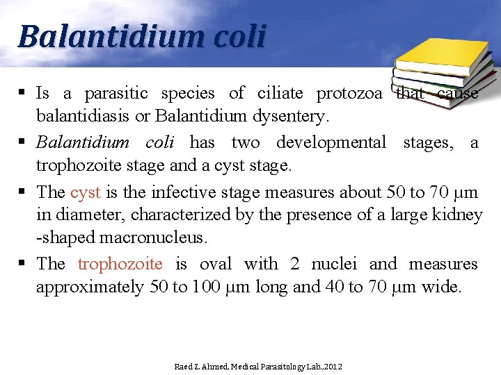 Balantidium coli § Is a parasitic species of ciliate protozoa that cause balantidiasis or