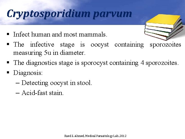 Cryptosporidium parvum § Infect human and most mammals. § The infective stage is oocyst