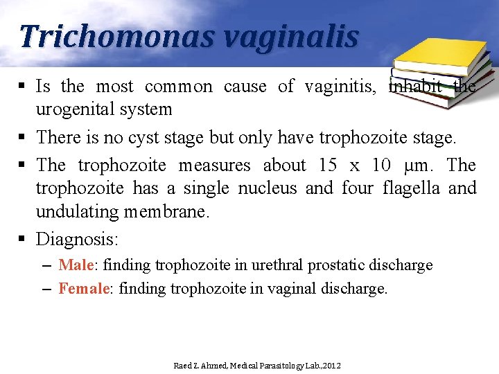 Trichomonas vaginalis § Is the most common cause of vaginitis, inhabit the urogenital system
