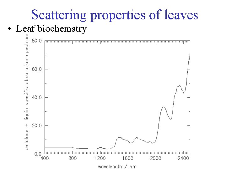 Scattering properties of leaves • Leaf biochemstry 