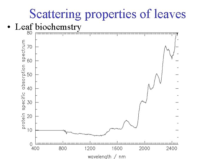 Scattering properties of leaves • Leaf biochemstry 