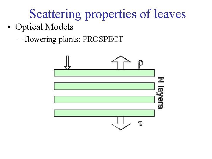 Scattering properties of leaves • Optical Models – flowering plants: PROSPECT 