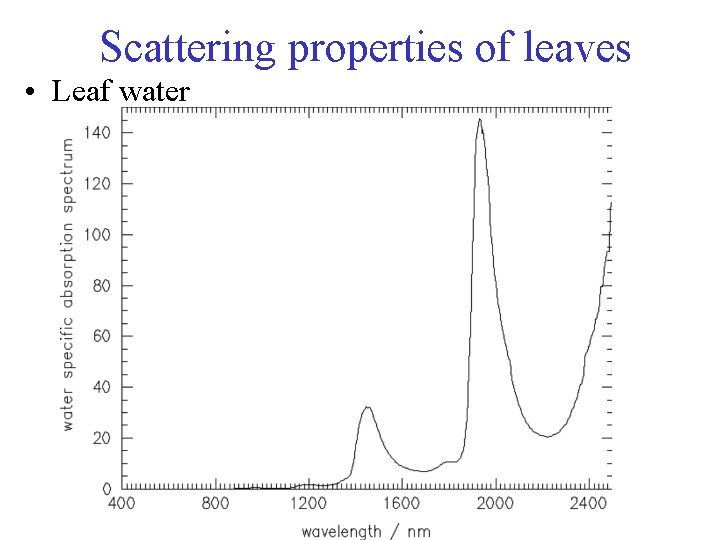 Scattering properties of leaves • Leaf water 