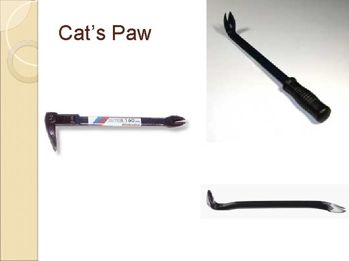 Cat’s Paw 