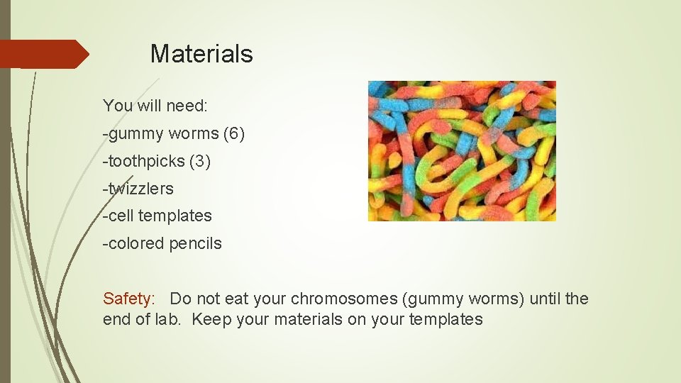 Materials You will need: -gummy worms (6) -toothpicks (3) -twizzlers -cell templates -colored pencils Materials You will need: -gummy worms (6) -toothpicks (3) -twizzlers -cell templates -colored pencils