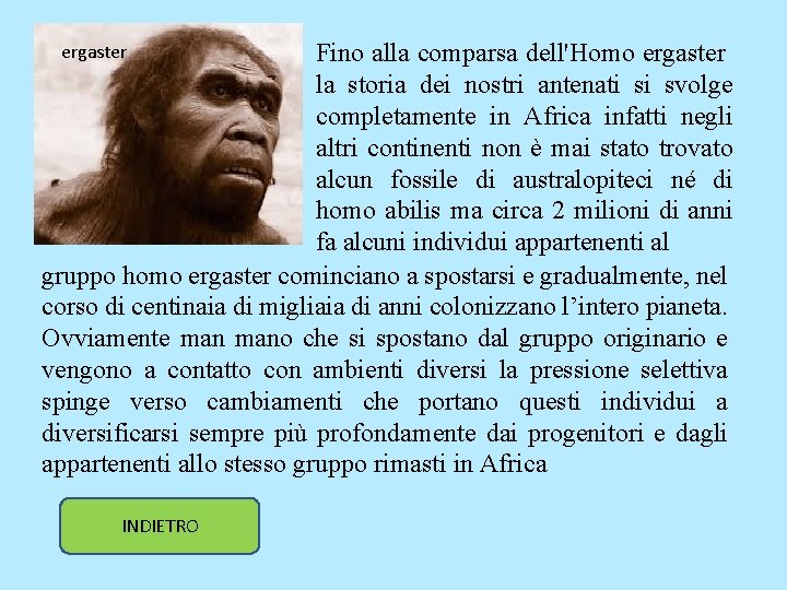 Fino alla comparsa dell'Homo ergaster la storia dei nostri antenati si svolge completamente in Fino alla comparsa dell'Homo ergaster la storia dei nostri antenati si svolge completamente in