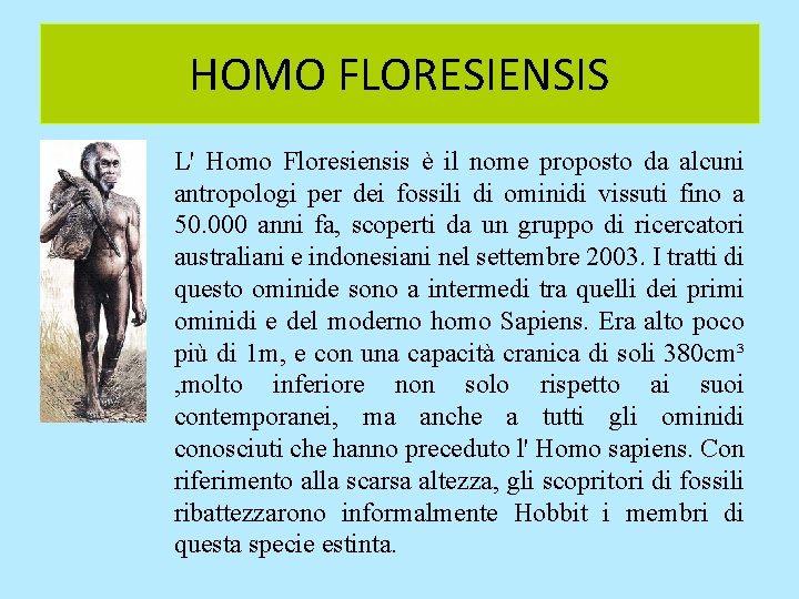 HOMO FLORESIENSIS L' Homo Floresiensis è il nome proposto da alcuni antropologi per dei HOMO FLORESIENSIS L' Homo Floresiensis è il nome proposto da alcuni antropologi per dei