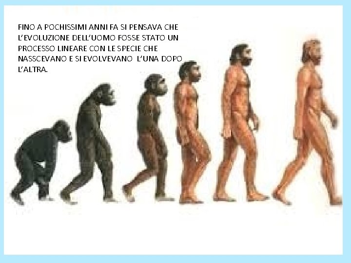 FINO A POCHISSIMI ANNI FA SI PENSAVA CHE L’EVOLUZIONE DELL’UOMO FOSSE STATO UN PROCESSO FINO A POCHISSIMI ANNI FA SI PENSAVA CHE L’EVOLUZIONE DELL’UOMO FOSSE STATO UN PROCESSO