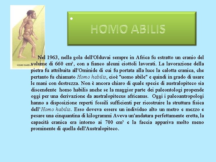 • Nel 1963, nella gola dell'Olduvai sempre in Africa fu estratto un cranio • Nel 1963, nella gola dell'Olduvai sempre in Africa fu estratto un cranio