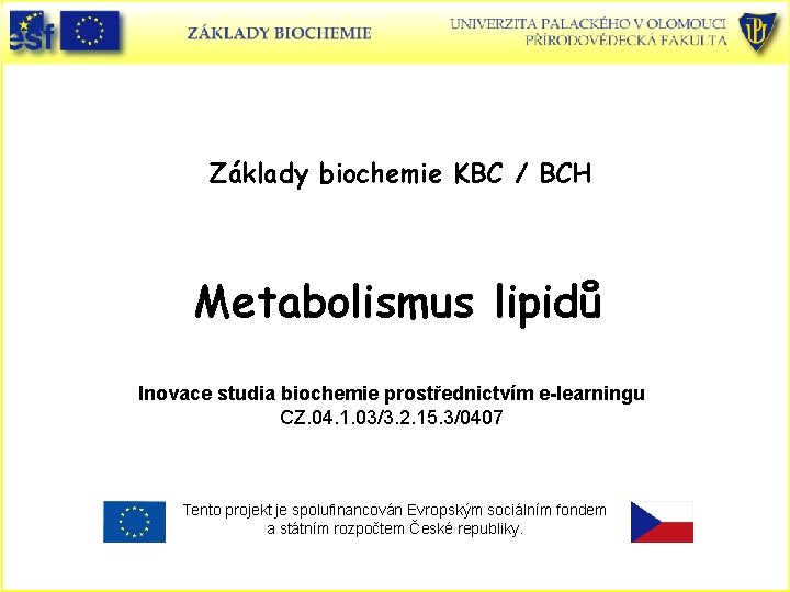 Základy biochemie KBC / BCH Metabolismus lipidů Inovace studia biochemie prostřednictvím e-learningu CZ. 04.