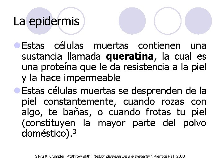 La epidermis l Estas células muertas contienen una sustancia llamada queratina, la cual es La epidermis l Estas células muertas contienen una sustancia llamada queratina, la cual es