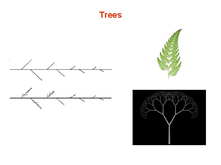 Trees Trees