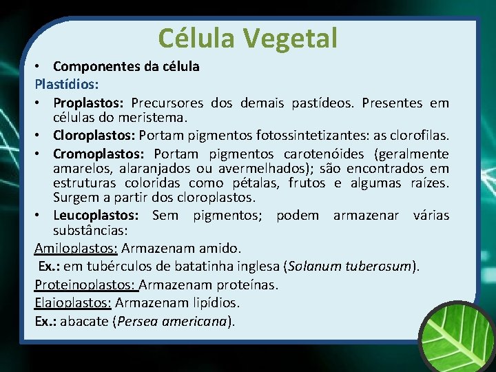 Célula Vegetal • Componentes da célula Plastídios: • Proplastos: Precursores dos demais pastídeos. Presentes