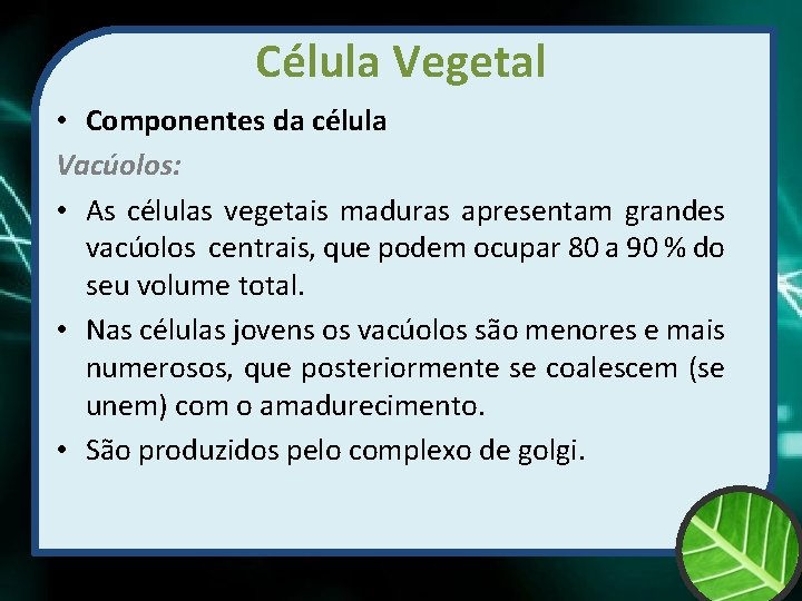 Célula Vegetal • Componentes da célula Vacúolos: • As células vegetais maduras apresentam grandes