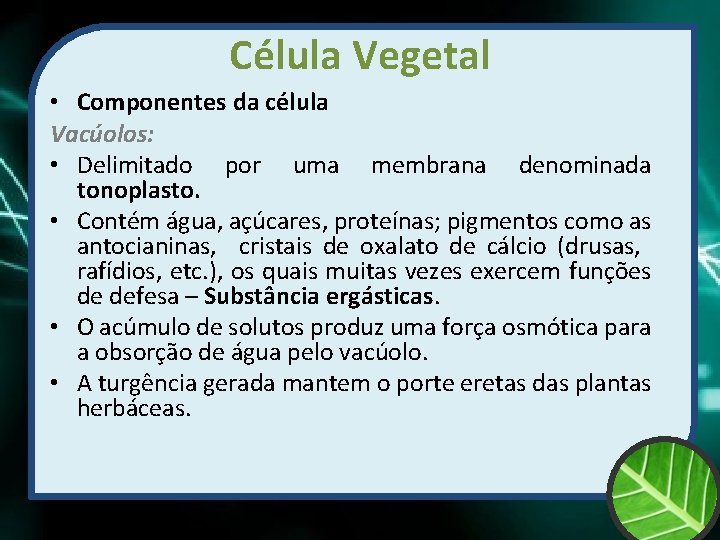 Célula Vegetal • Componentes da célula Vacúolos: • Delimitado por uma membrana denominada tonoplasto.