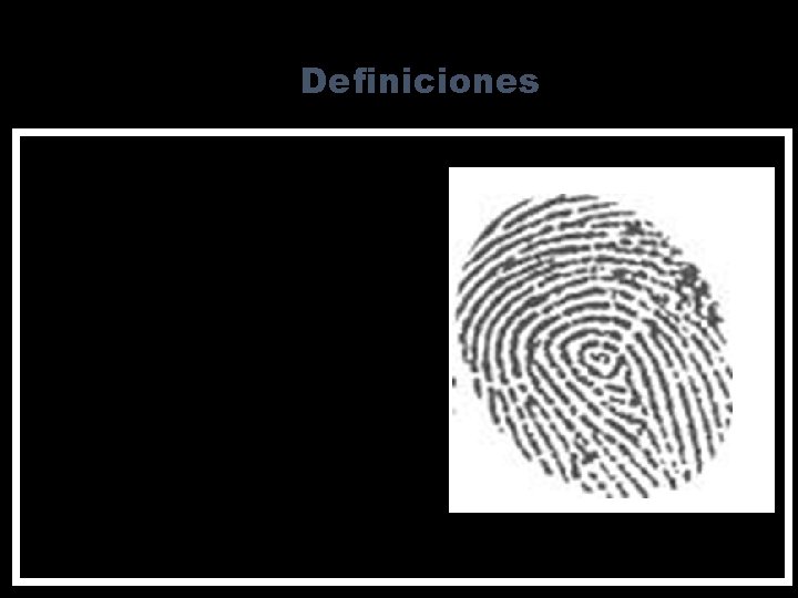 Definiciones Cresta. Son los bordes sobresalientes en epidermis que están formados por una sucesión