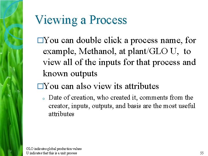 Viewing a Process �You can double click a process name, for example, Methanol, at