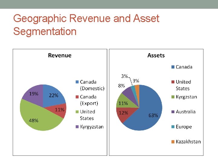 Geographic Revenue and Asset Segmentation 