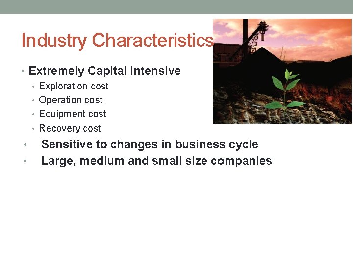 Industry Characteristics • Extremely Capital Intensive • Exploration cost • Operation cost • Equipment