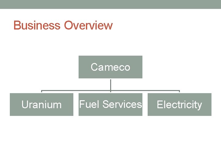 Business Overview Cameco Uranium Fuel Services Electricity 