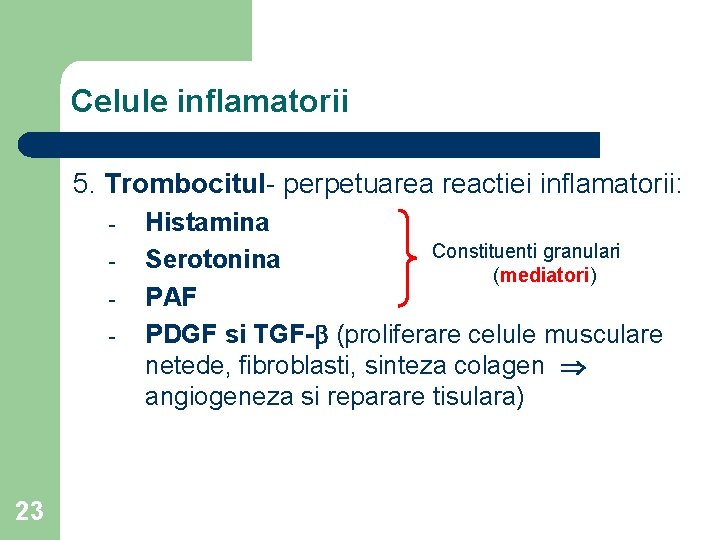 Celule inflamatorii 5. Trombocitul- perpetuarea reactiei inflamatorii: - 23 Histamina Constituenti granulari Serotonina (mediatori)