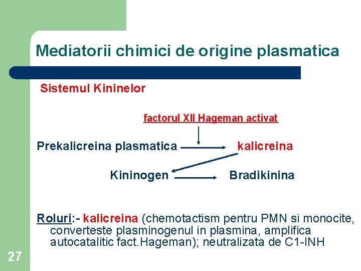 Mediatorii chimici de origine plasmatica Sistemul Kininelor factorul XII Hageman activat Prekalicreina plasmatica Kininogen