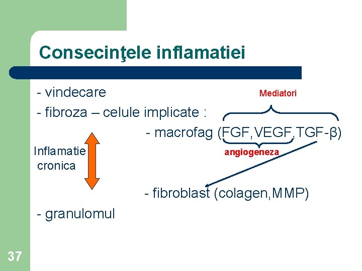 Consecinţele inflamatiei Mediatori - vindecare - fibroza – celule implicate : - macrofag (FGF,