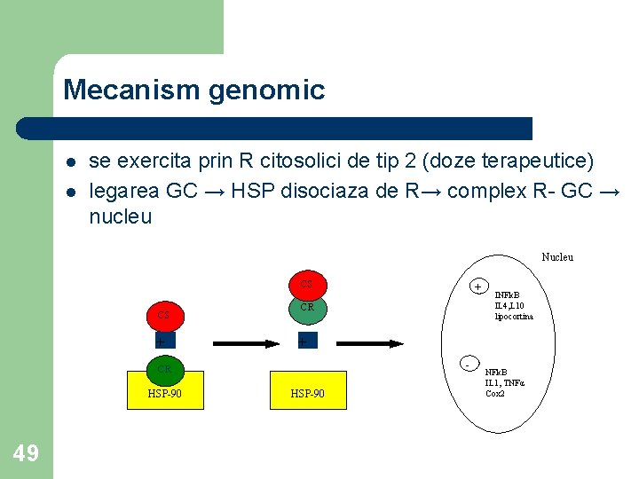 Mecanism genomic l l se exercita prin R citosolici de tip 2 (doze terapeutice)