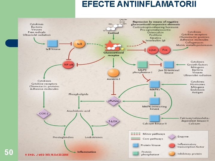 EFECTE ANTIINFLAMATORII 50 N ENGL J MED 353; 16, 0 ct 20; 2005 