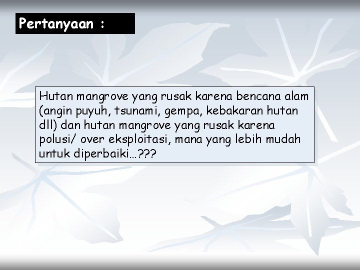 Oleh Dr Windarti Msc Pengertian Mangrove Mangrove Q