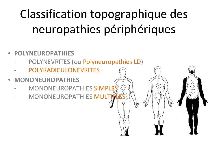 Neuropathies priphriques pathologie F Wang Module