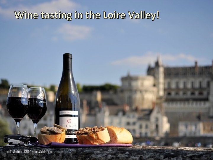 Wine tasting in the Loire Valley! 