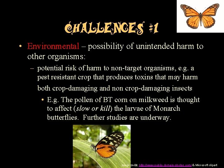 Challenges #1 • Environmental – possibility of unintended harm to Environmental other organisms: –