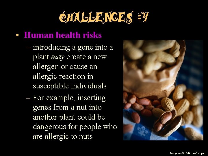 Challenges #4 • Human health risks – introducing a gene into a plant may