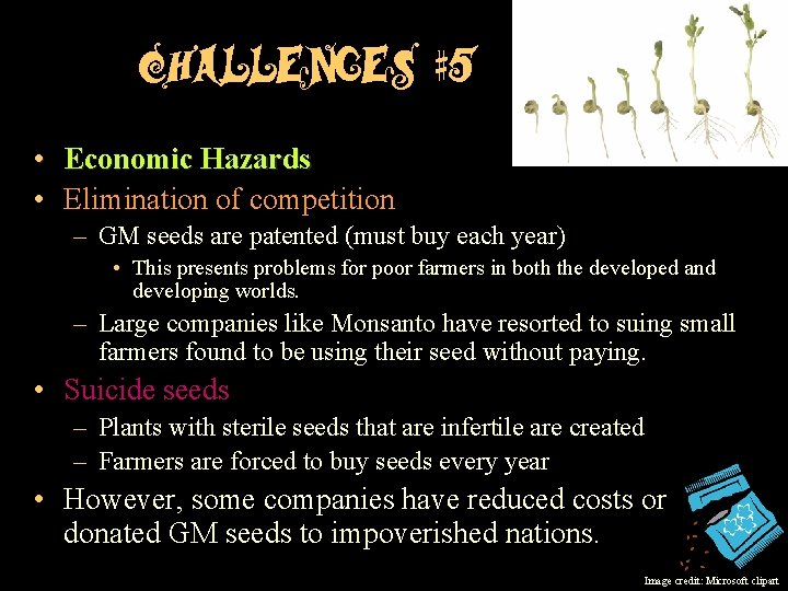 Challenges #5 • Economic Hazards • Elimination of competition – GM seeds are patented