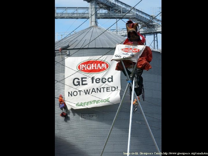 Image credit: Greenpeace Canada http: //www. greenpeace. org/canada/en/ 