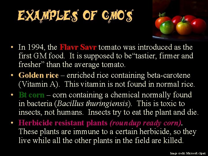 Examples of GMO’s • In 1994, the Flavr Savr tomato was introduced as the