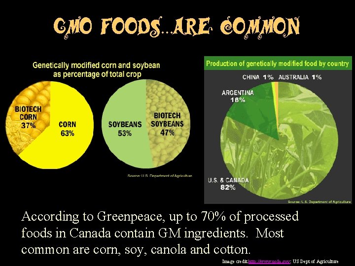GMO foods…are common According to Greenpeace, up to 70% of processed foods in Canada