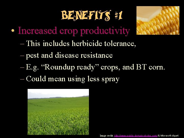 Benefits #1 • Increased crop productivity – This includes herbicide tolerance, – pest and