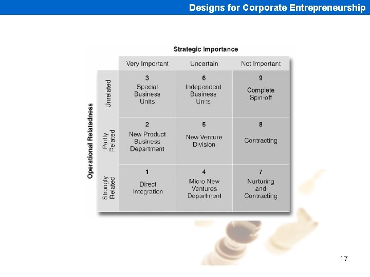 Designs for Corporate Entrepreneurship 17 