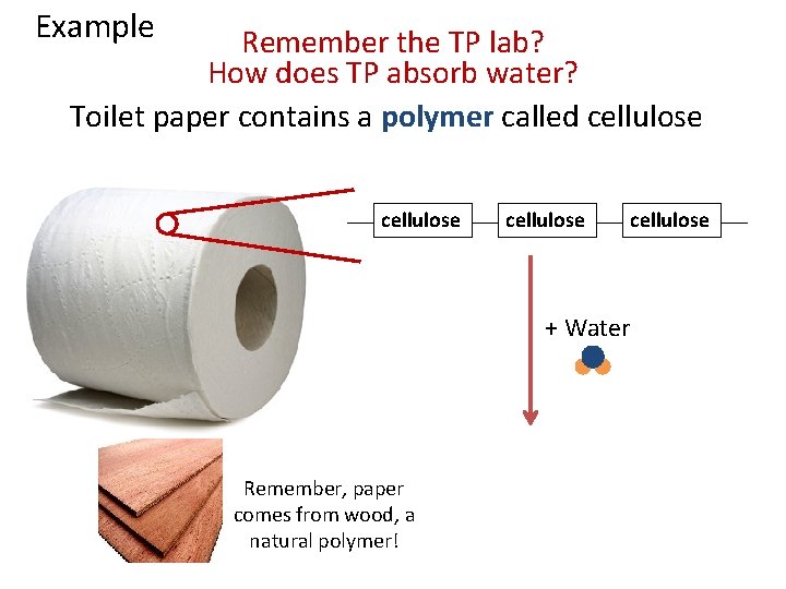 Example Remember the TP lab? How does TP absorb water? Toilet paper contains a